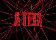 A Teia